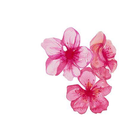 Celestial Blooms: A Heavenly Scented Journey